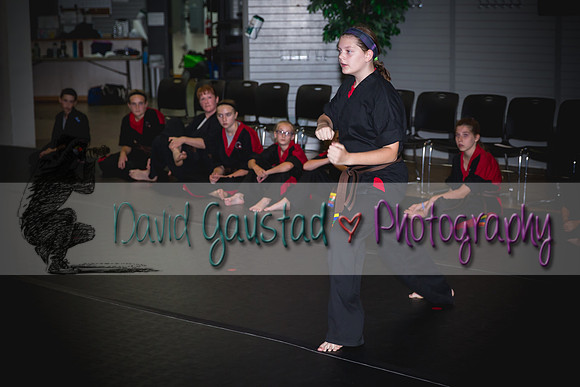Midwest Professional Karate Black Belt Test 2016