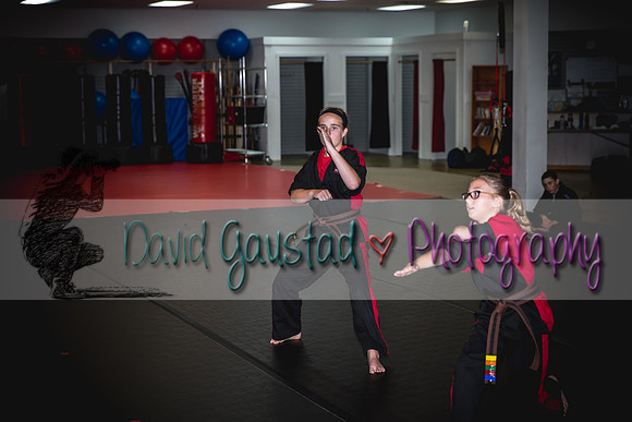 Midwest Professional Karate Black Belt Test 2016
