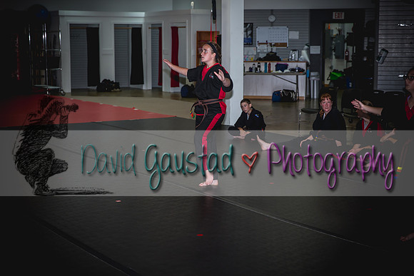 Midwest Professional Karate Black Belt Test 2016