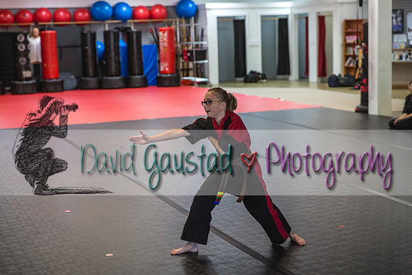 Midwest Professional Karate Black Belt Test 2016