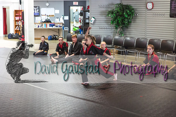 Midwest Professional Karate Black Belt Test 2016