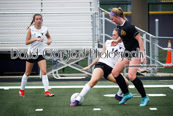 DeForest Area High School Girl's Soccer vs Sauk Prairie