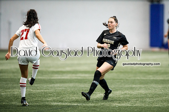 Wisconsin Women's Soccer Team vs. Purdue