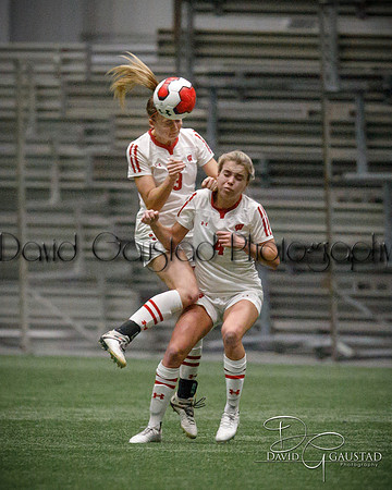 Wisconsin Badgers Women's Soccer vs. Iowa