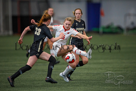 Wisconsin Badgers Women's Soccer vs. Purdue