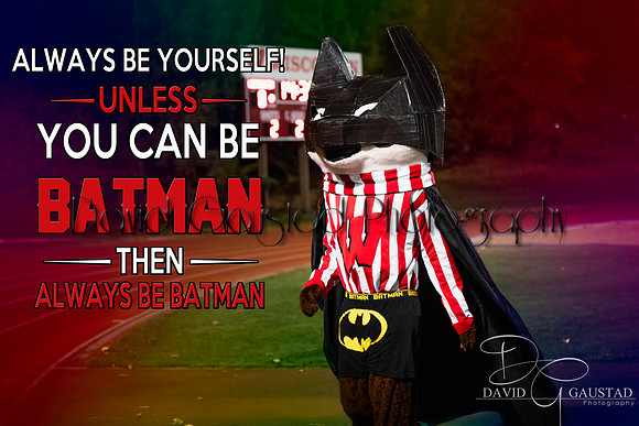 Bucky Badger Batman