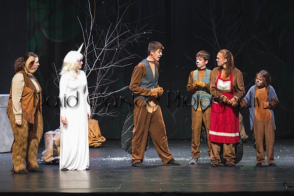 DeForest Area High School Drama Club - The Lion, The Witch and The Wardrobe - 2017