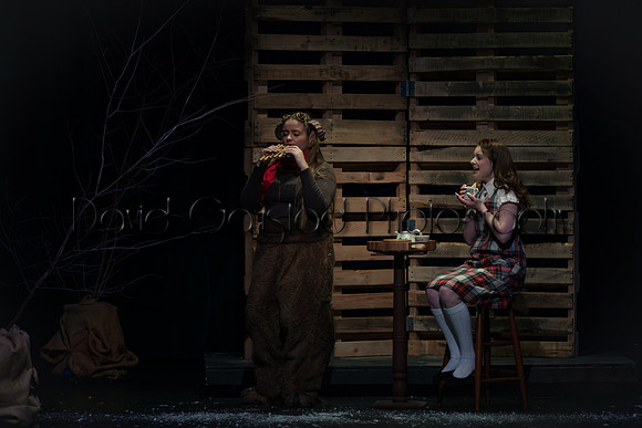 DeForest Area High School Drama Club - The Lion, The Witch and The Wardrobe - 2017