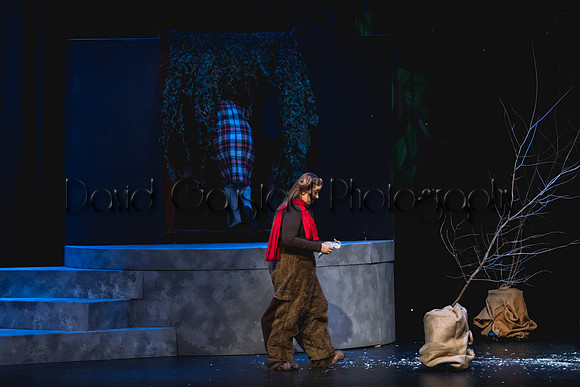 DeForest Area High School Drama Club - The Lion, The Witch and The Wardrobe - 2017