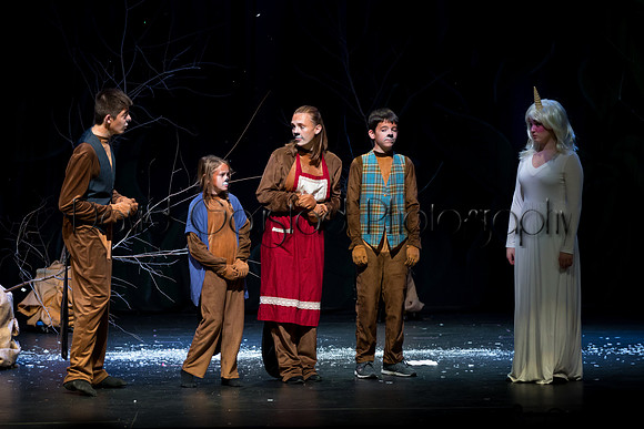 DeForest Area High School Drama Club - The Lion, The Witch and The Wardrobe - 2017