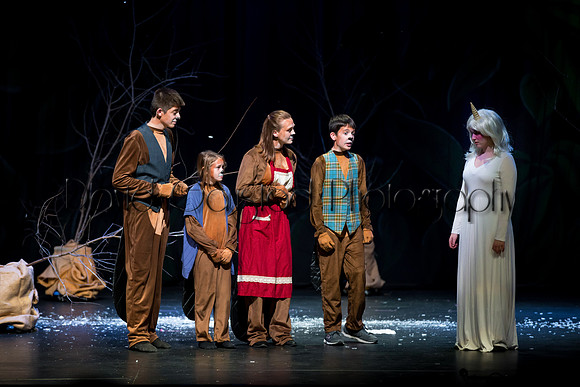 DeForest Area High School Drama Club - The Lion, The Witch and The Wardrobe - 2017