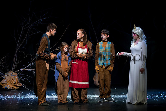 DeForest Area High School Drama Club - The Lion, The Witch and The Wardrobe - 2017