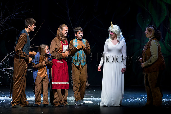 DeForest Area High School Drama Club - The Lion, The Witch and The Wardrobe - 2017