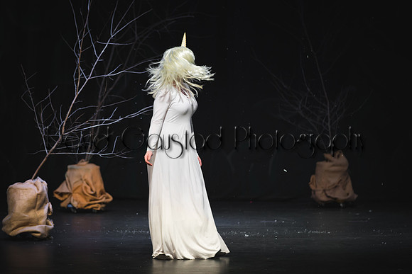 DeForest Area High School Drama Club - The Lion, The Witch and The Wardrobe - 2017