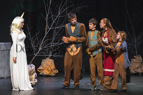 DeForest Area High School Drama Club - The Lion, The Witch and The Wardrobe - 2017
