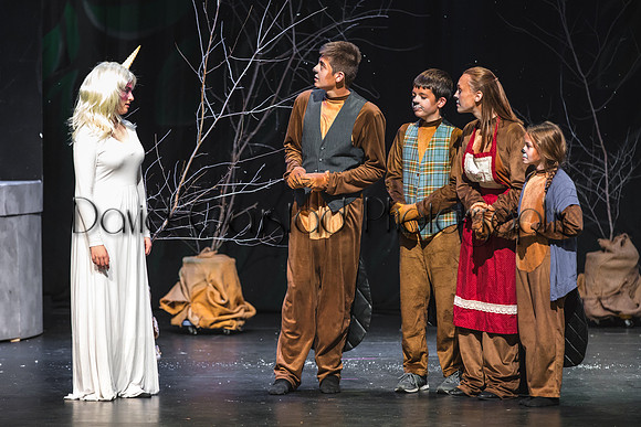 DeForest Area High School Drama Club - The Lion, The Witch and The Wardrobe - 2017