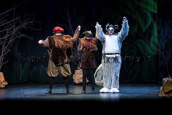 DeForest Area High School Drama Club - The Lion, The Witch and The Wardrobe - 2017