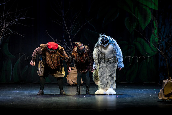 DeForest Area High School Drama Club - The Lion, The Witch and The Wardrobe - 2017