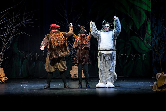 DeForest Area High School Drama Club - The Lion, The Witch and The Wardrobe - 2017