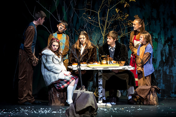 DeForest Area High School Drama Club - The Lion, The Witch and The Wardrobe - 2017