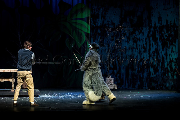 DeForest Area High School Drama Club - The Lion, The Witch and The Wardrobe - 2017