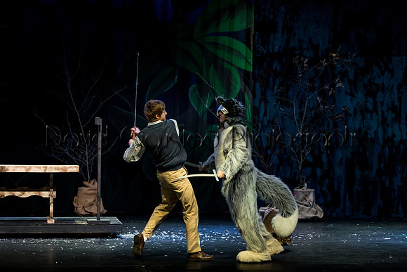 DeForest Area High School Drama Club - The Lion, The Witch and The Wardrobe - 2017