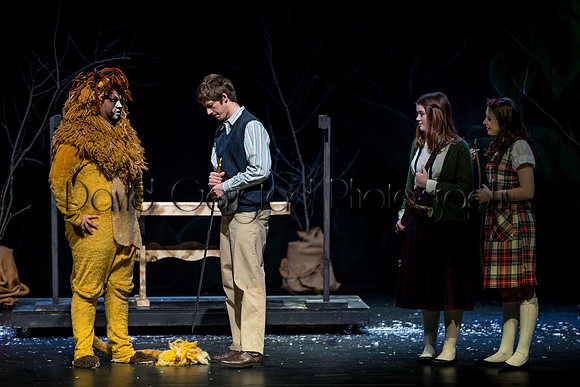 DeForest Area High School Drama Club - The Lion, The Witch and The Wardrobe - 2017