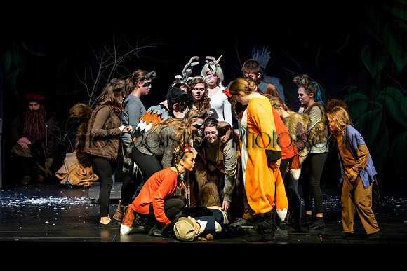 DeForest Area High School Drama Club - The Lion, The Witch and The Wardrobe - 2017