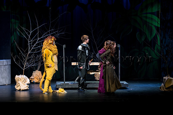 DeForest Area High School Drama Club - The Lion, The Witch and The Wardrobe - 2017