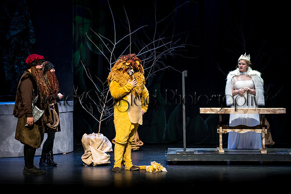 DeForest Area High School Drama Club - The Lion, The Witch and The Wardrobe - 2017