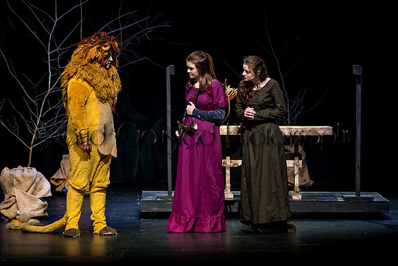 DeForest Area High School Drama Club - The Lion, The Witch and The Wardrobe - 2017