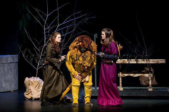 DeForest Area High School Drama Club - The Lion, The Witch and The Wardrobe - 2017