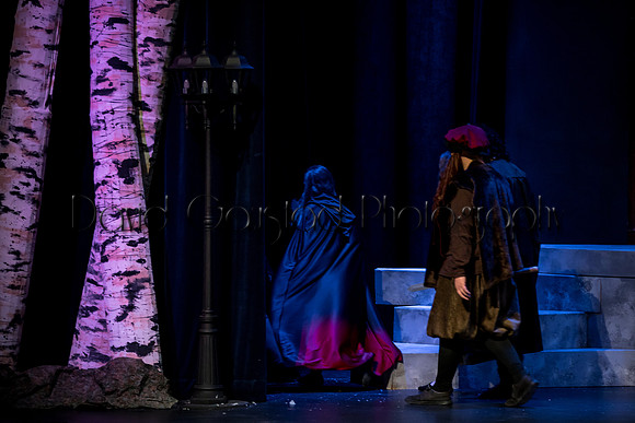 DeForest Area High School Drama Club - The Lion, The Witch and The Wardrobe - 2017