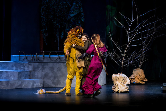 DeForest Area High School Drama Club - The Lion, The Witch and The Wardrobe - 2017