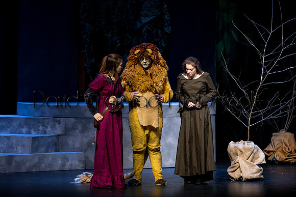 DeForest Area High School Drama Club - The Lion, The Witch and The Wardrobe - 2017