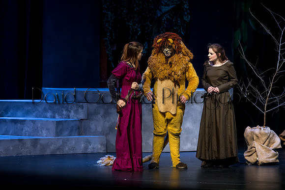 DeForest Area High School Drama Club - The Lion, The Witch and The Wardrobe - 2017