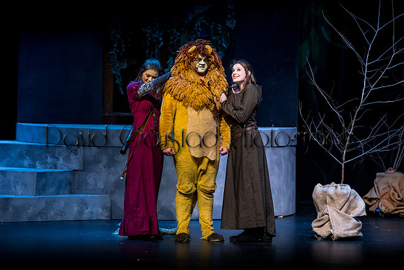 DeForest Area High School Drama Club - The Lion, The Witch and The Wardrobe - 2017