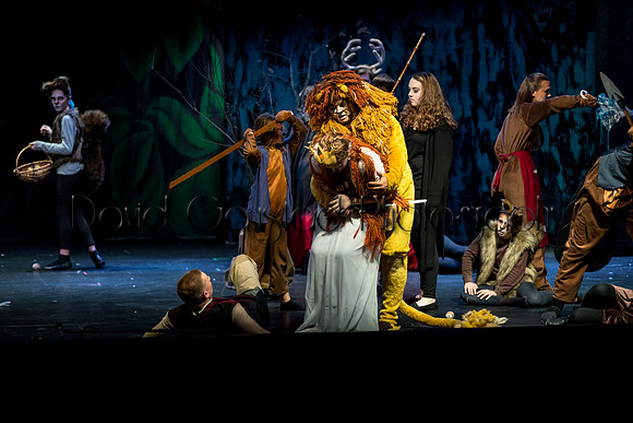 DeForest Area High School Drama Club - The Lion, The Witch and The Wardrobe - 2017