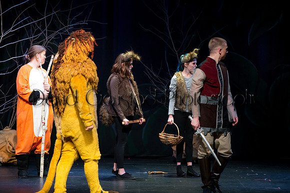 DeForest Area High School Drama Club - The Lion, The Witch and The Wardrobe - 2017