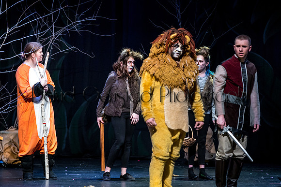 DeForest Area High School Drama Club - The Lion, The Witch and The Wardrobe - 2017