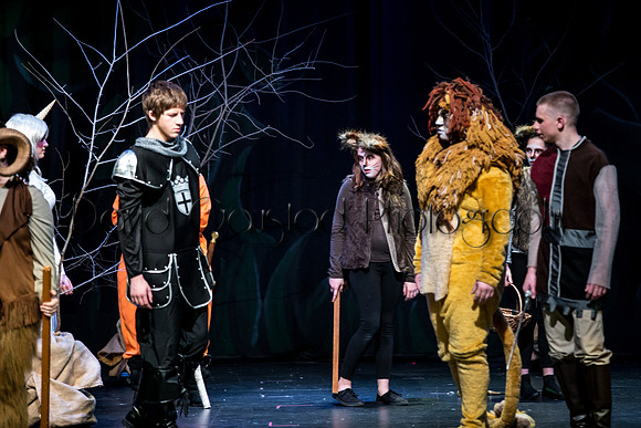 DeForest Area High School Drama Club - The Lion, The Witch and The Wardrobe - 2017