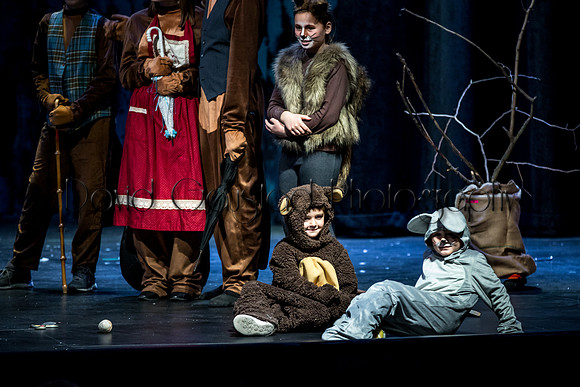 DeForest Area High School Drama Club - The Lion, The Witch and The Wardrobe - 2017