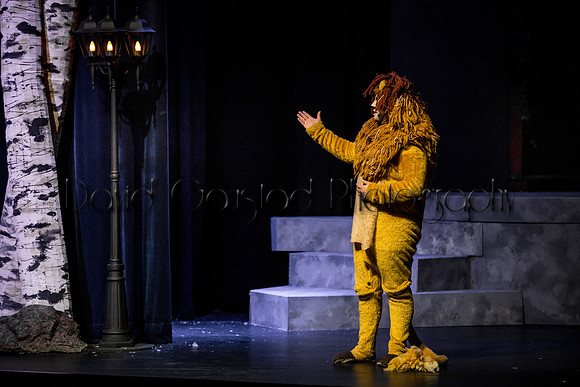 DeForest Area High School Drama Club - The Lion, The Witch and The Wardrobe - 2017