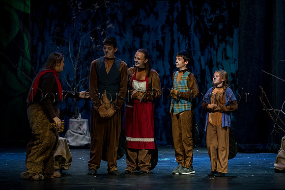 DeForest Area High School Drama Club - The Lion, The Witch and The Wardrobe - 2017