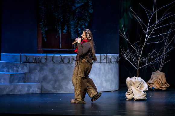 DeForest Area High School Drama Club - The Lion, The Witch and The Wardrobe - 2017