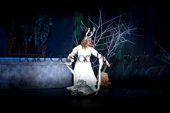 DeForest Area High School Drama Club - The Lion, The Witch and The Wardrobe - 2017