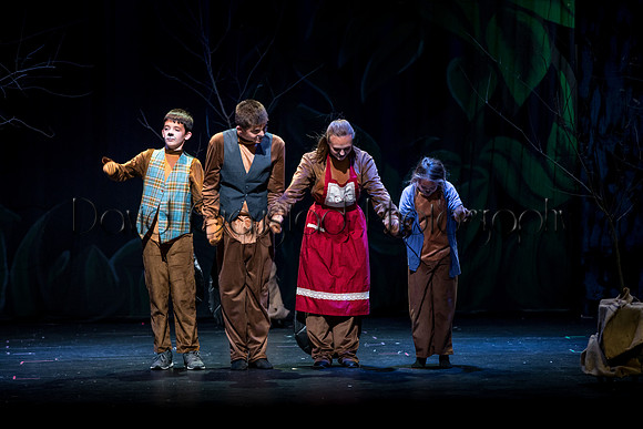 DeForest Area High School Drama Club - The Lion, The Witch and The Wardrobe - 2017