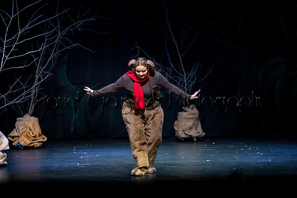 DeForest Area High School Drama Club - The Lion, The Witch and The Wardrobe - 2017