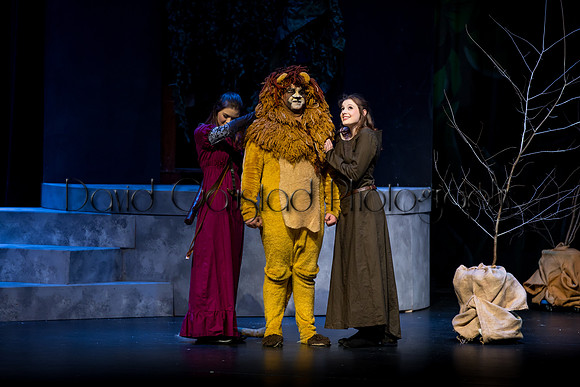 DeForest Area High School Drama Club - The Lion, The Witch and The Wardrobe - 2017