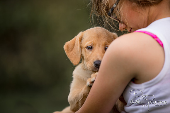 DeForest, Sun Prairie, Waunakee, Middleton, Verona, Lodi, Oregon, Family Photographer Family Picture
